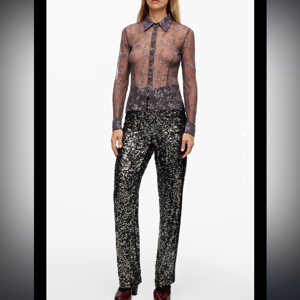 Zara sequins pants limited edition, ZW collection